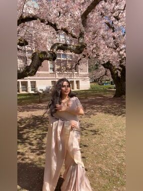 Saree light pink with golden shimmer